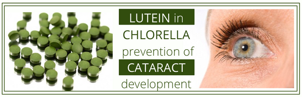 chlorella lutein 