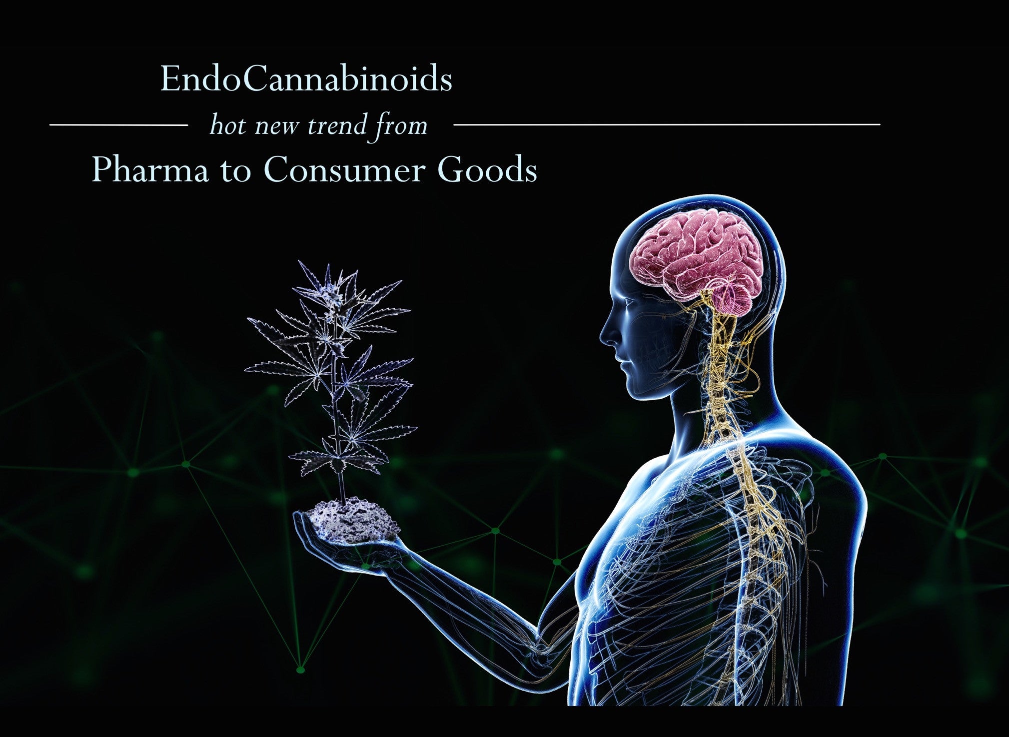 Endocannabinoids cannabinoids hot new trend from Pharma to consumer goods 