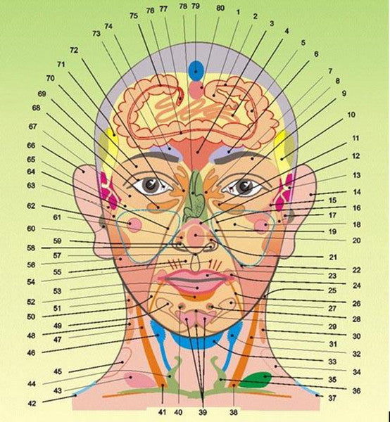 Face acupuncture reflexology health problem on your face 