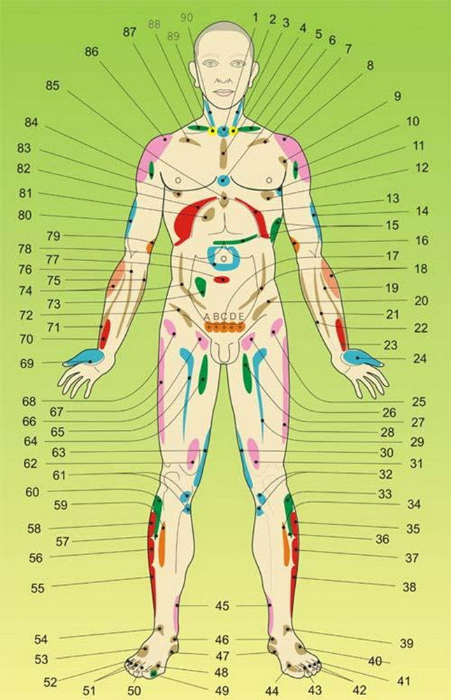 Acupuncture body meridians model reflexology massage lifehacks 