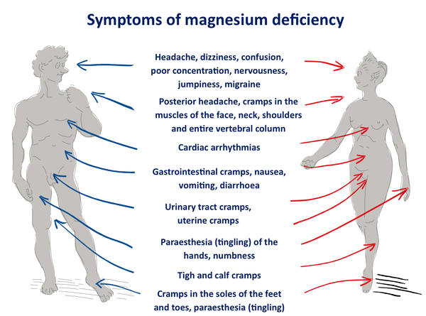 Magnesium deficiency headache insomnia nervous breakdown, burnout, fatigue syndrome  