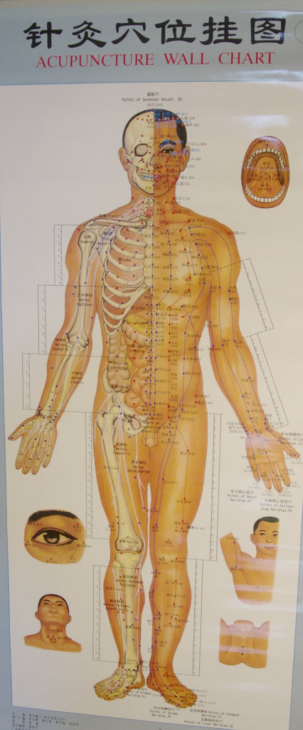 Acupuncture Wall Chart