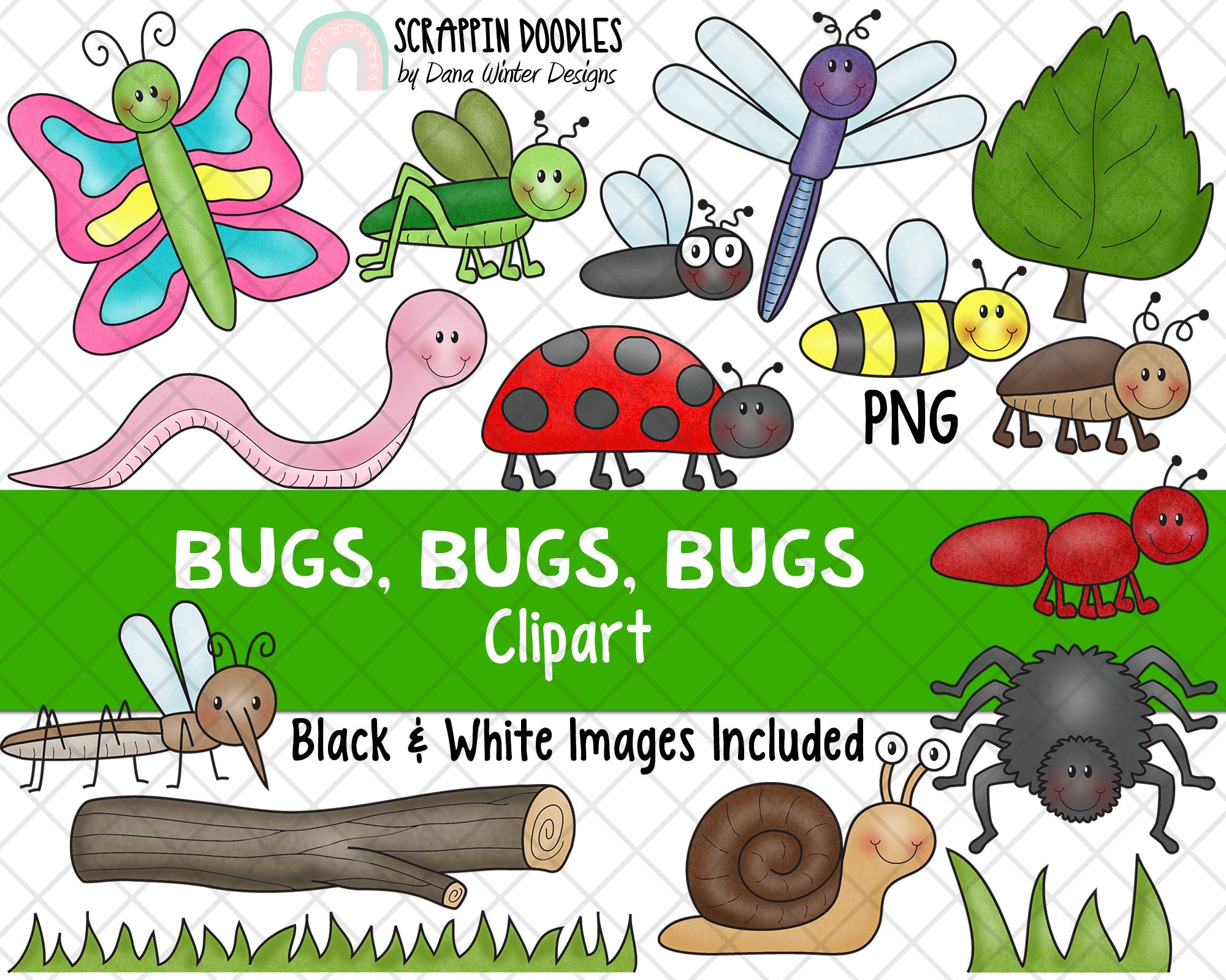bug clipart pics