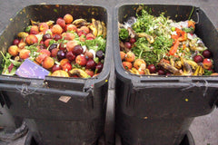 Reduce Food Waste By Building a Geodesic Garden Dome and Grow Your Own Food