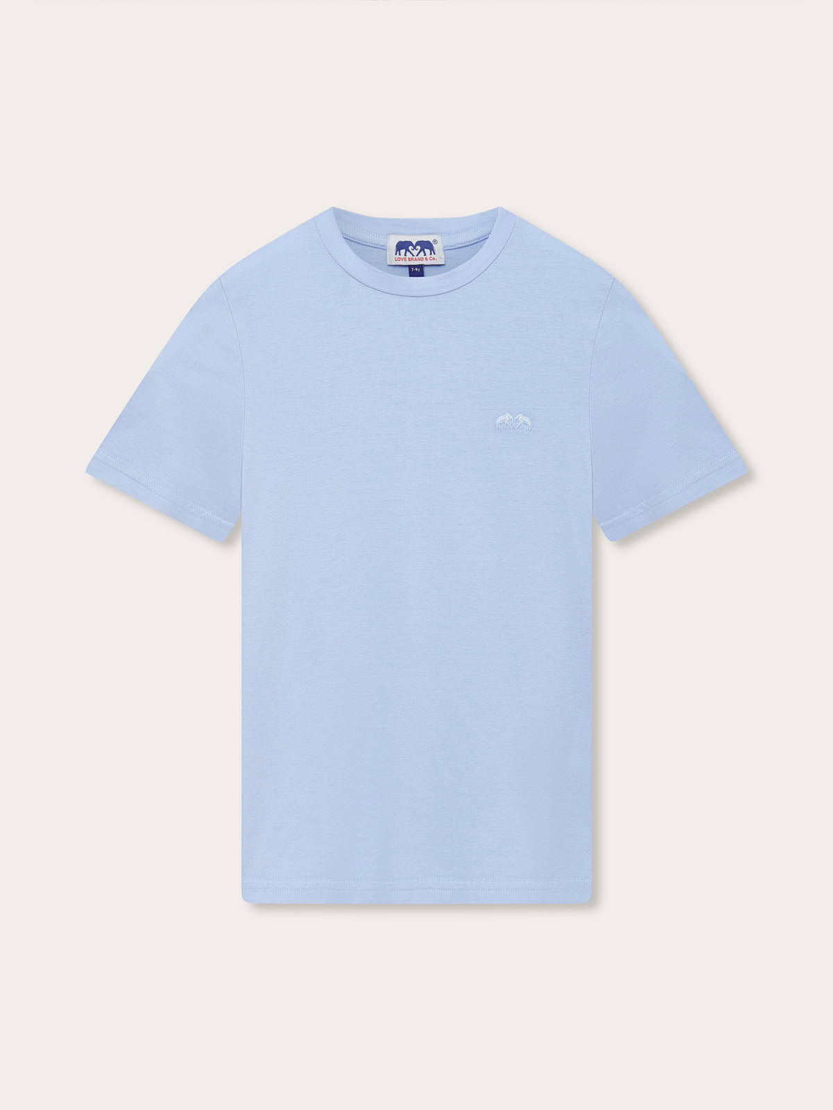 Boys Sky Blue Lockhart T-Shirt