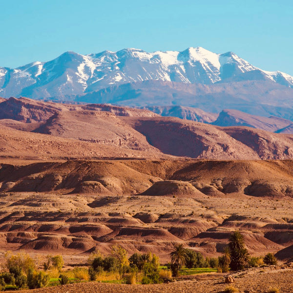 Moroccan Mountain