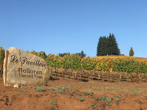 Holloran Vineyard Wines_Fall Color_Le Pavillon