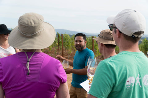 Vineyard Tour-Vincente