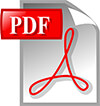 PDF File