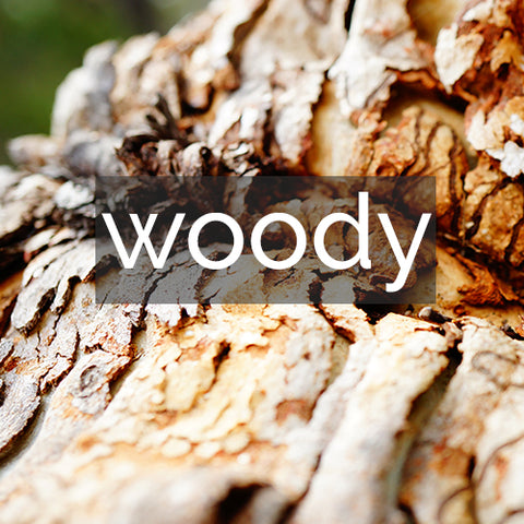 Shop by Scent ~ Woody