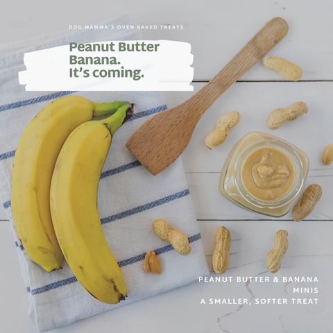 Peanut butter banana organic small soft dog treat