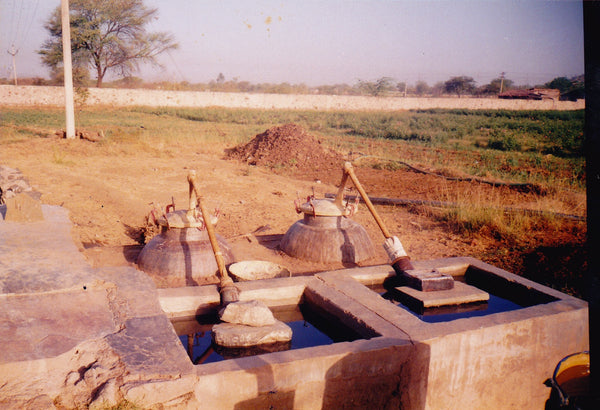 Rose Distillery