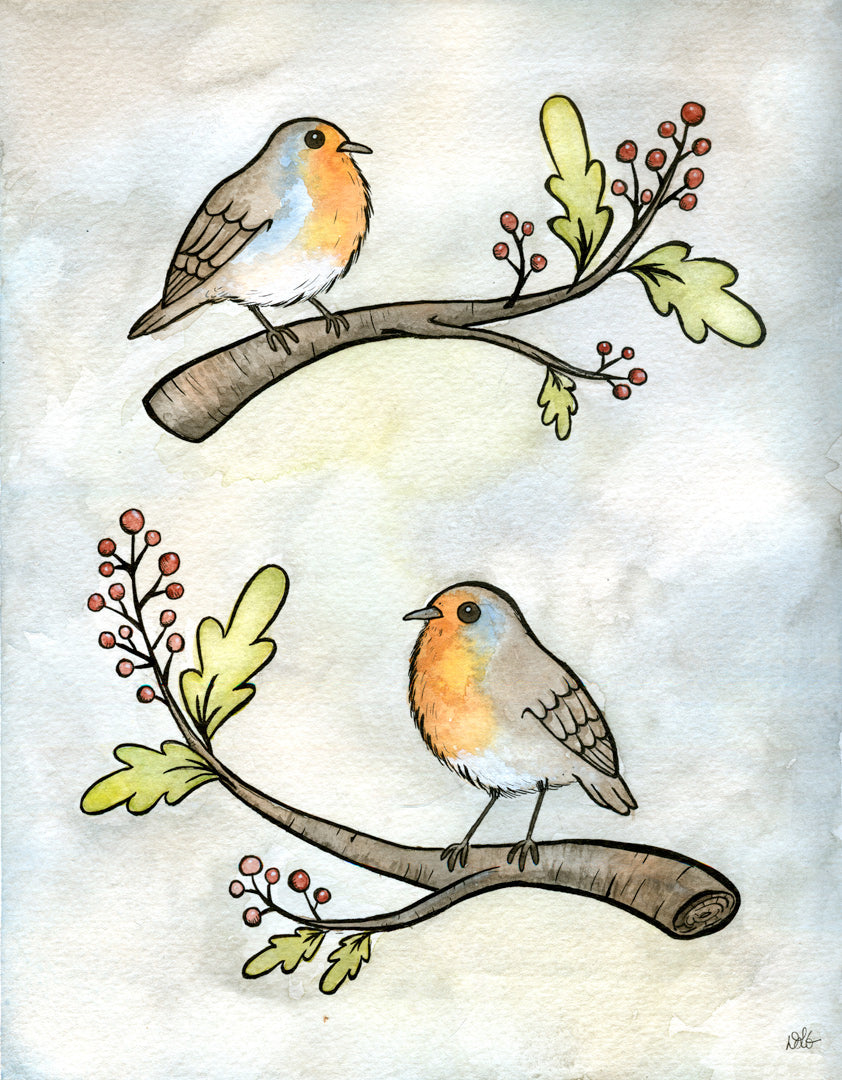 English Robins