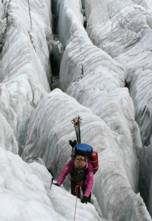 Katie climbing the ice caps in Patagonia
