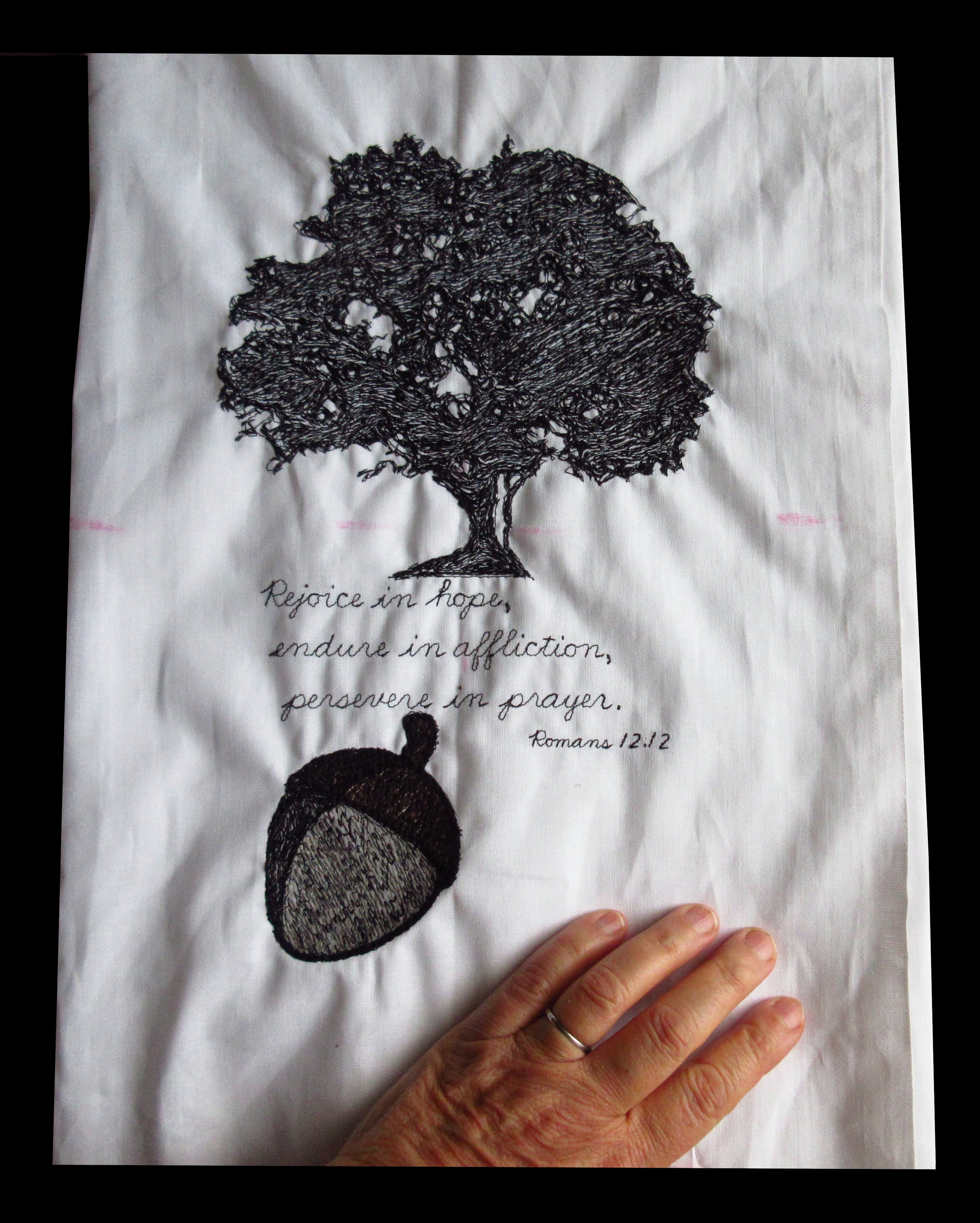 Oak Tree, Acorn And Scripture