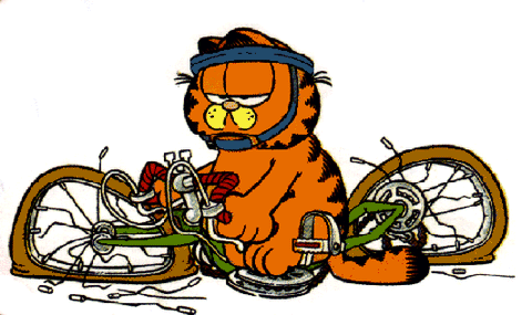 garfield fix my bike