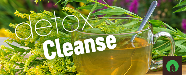 Detox Cleanse: The Best and Worst Detox and Cleansing Products on the