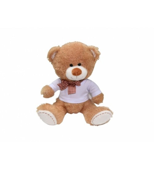 personalized teddy bear shirt