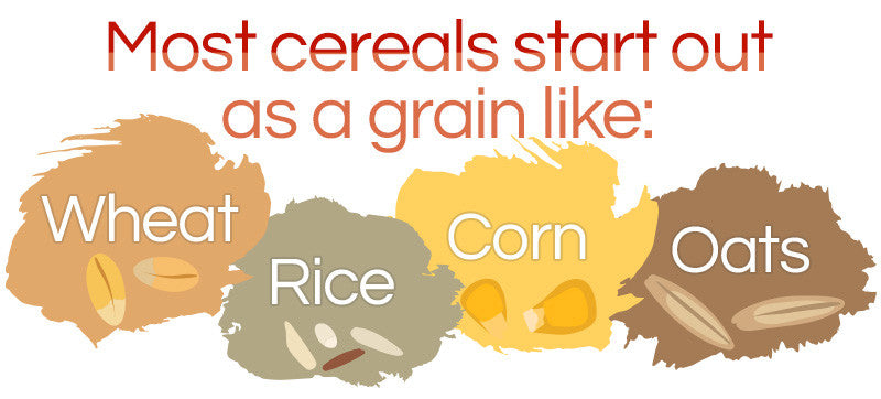 Cereal-Grains-Infographic