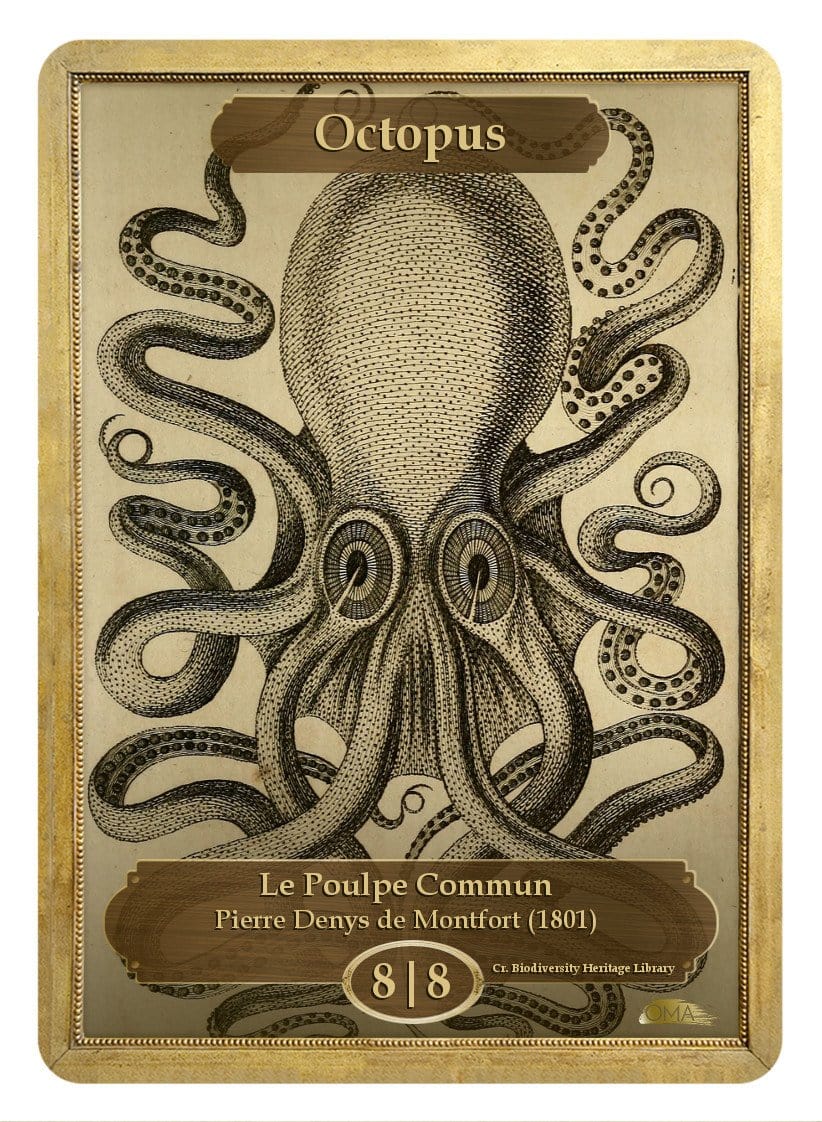 Octopus Token (Pierre Denys de Montfort)