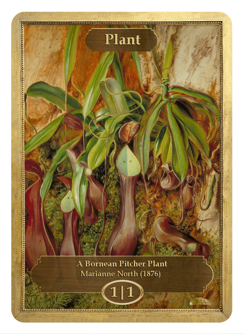《植物トークン/Plant Token》 (Marianne North)