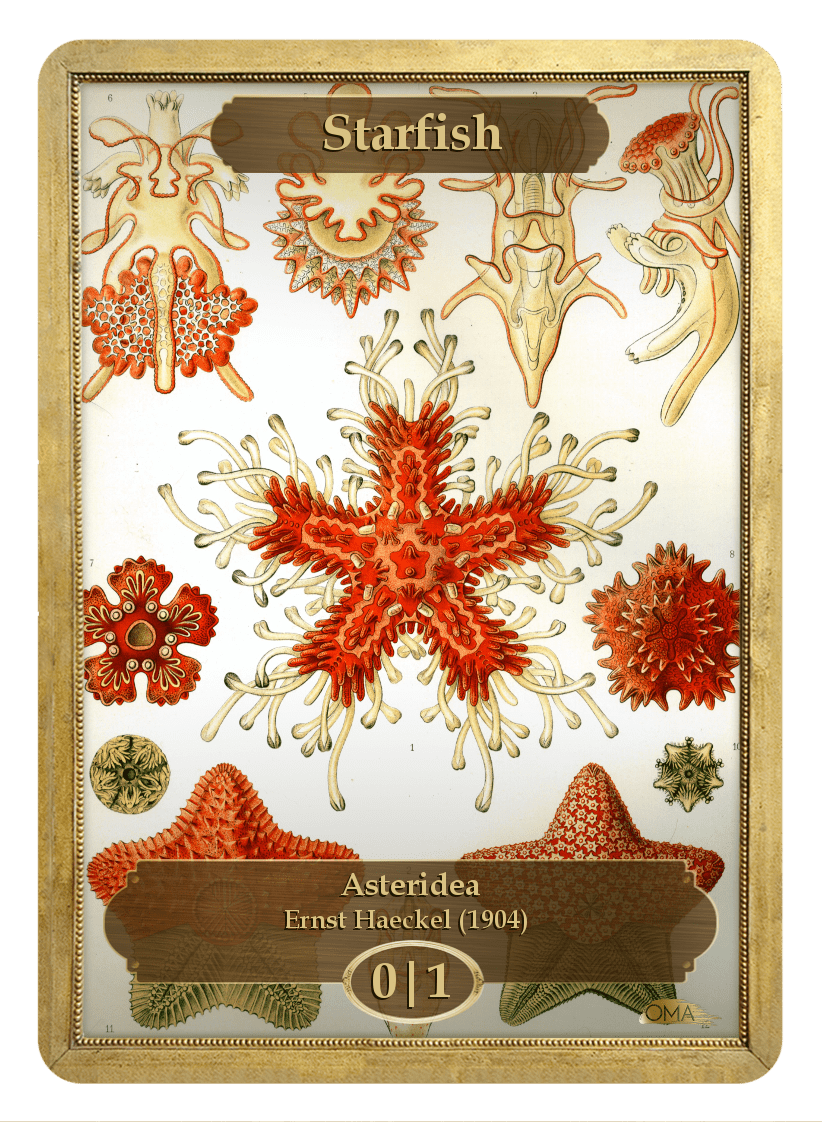 Starfish Token (Ernst Haeckel)