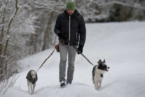 man walking dogs in snow