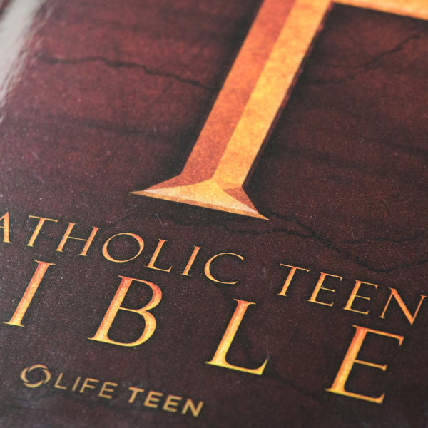 Life Teen Bible 97