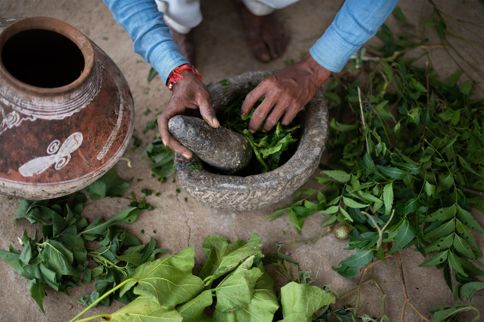 A natural pesticide made from crushing the leaves of five different plants and leaving them to sit in a clay pot for a week. It is then boiled, reduced by half, mixed with water and then sprayed over the fields. Photo: Hashim Badani.