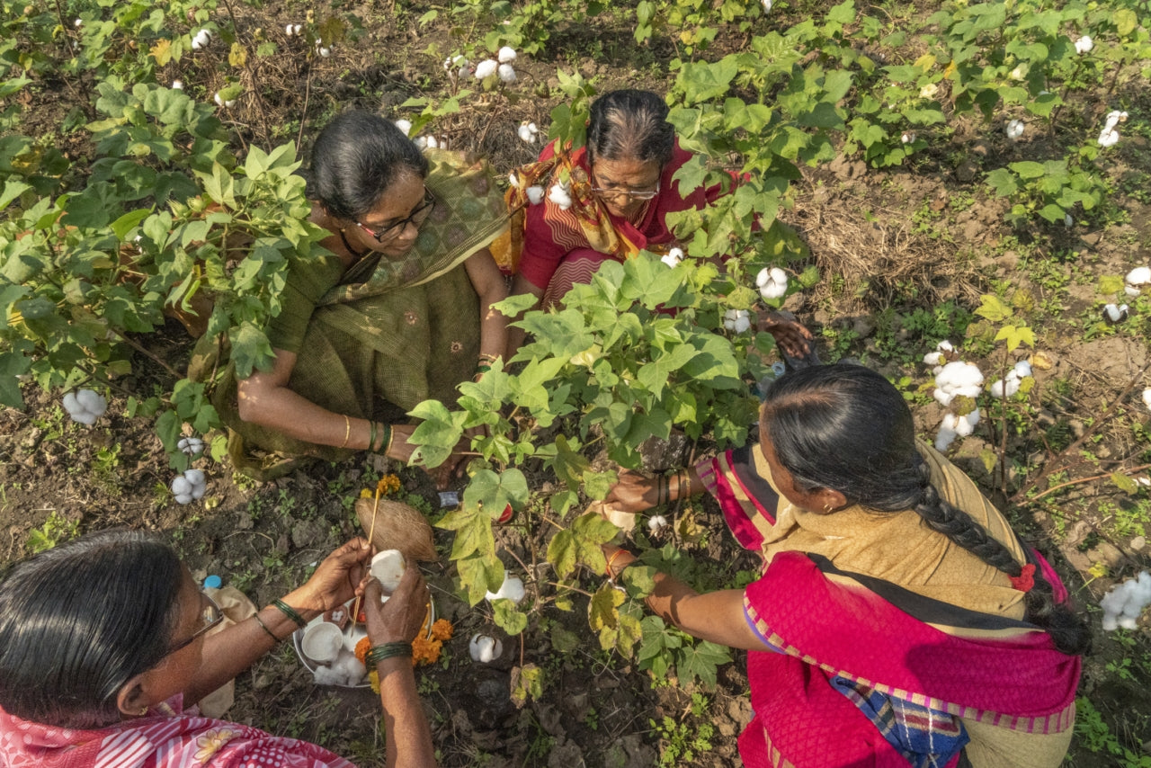A group of women inspect cotton plants at one of over 150 farms in India growing the crop aspart of our Regenerative Organic Certification Pilot. Through this certification, farmers receive premiums for the cotton the produce. Photo: Avani Rai.