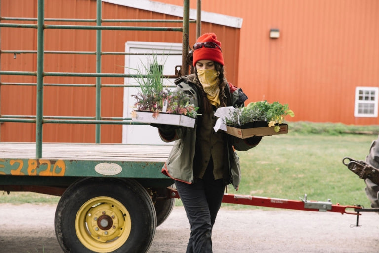 Rodale intern Delilah Miske follows protocol to keep customers safe during a drive-thru plant sale. All photos: Johnie Gall.