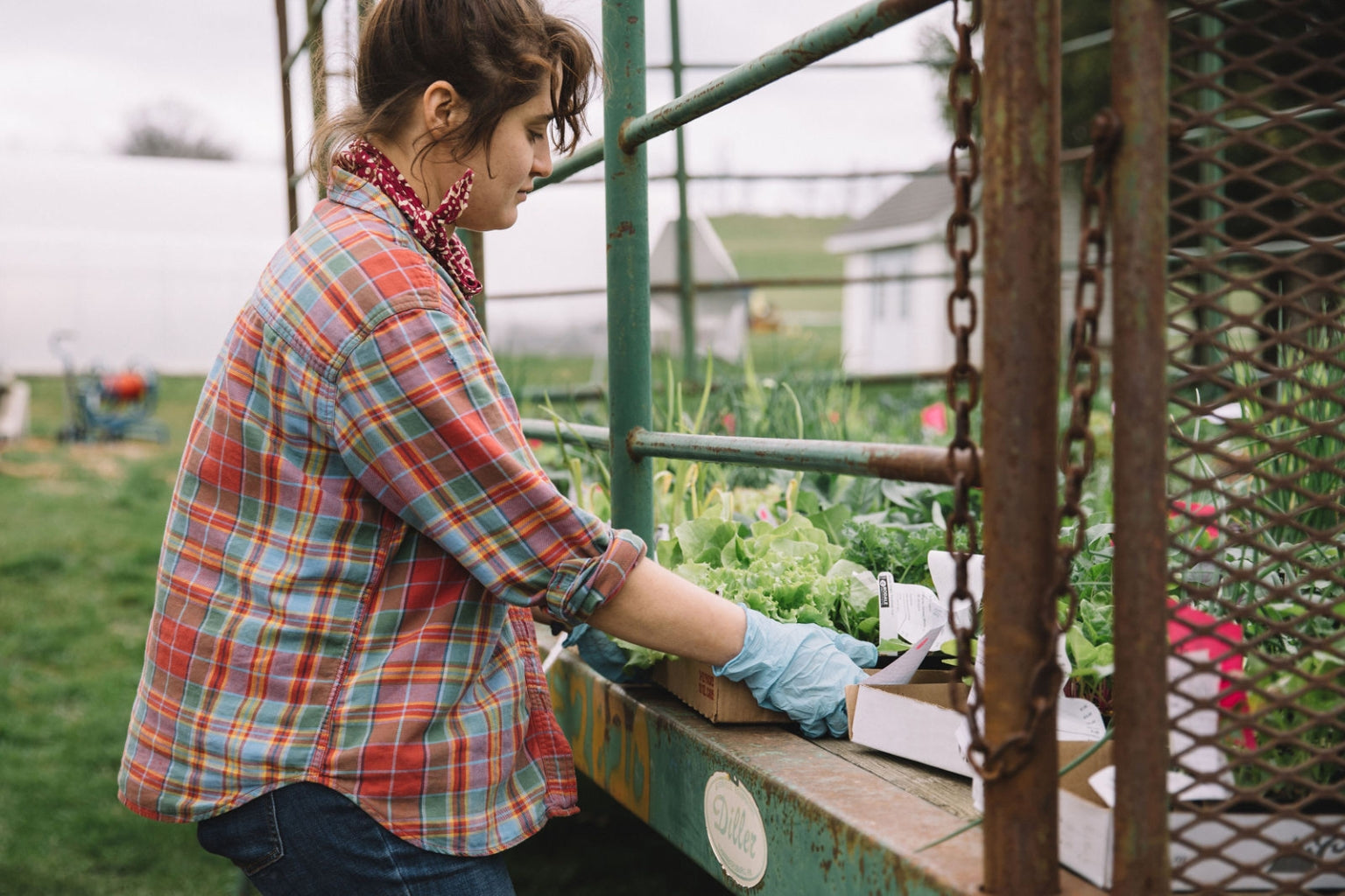 Rodale intern Bree Hersch gets her hands dirty during her daily chores around Rodale’s main farm campus – kind of.