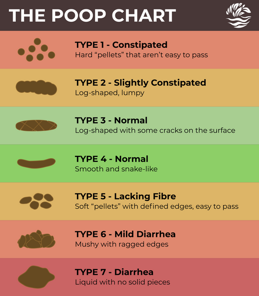 The Poop Chart