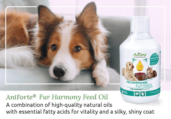 Fur Harmony Feed Oil