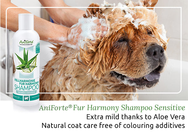 Fur Harmony Shampoo Sensitive