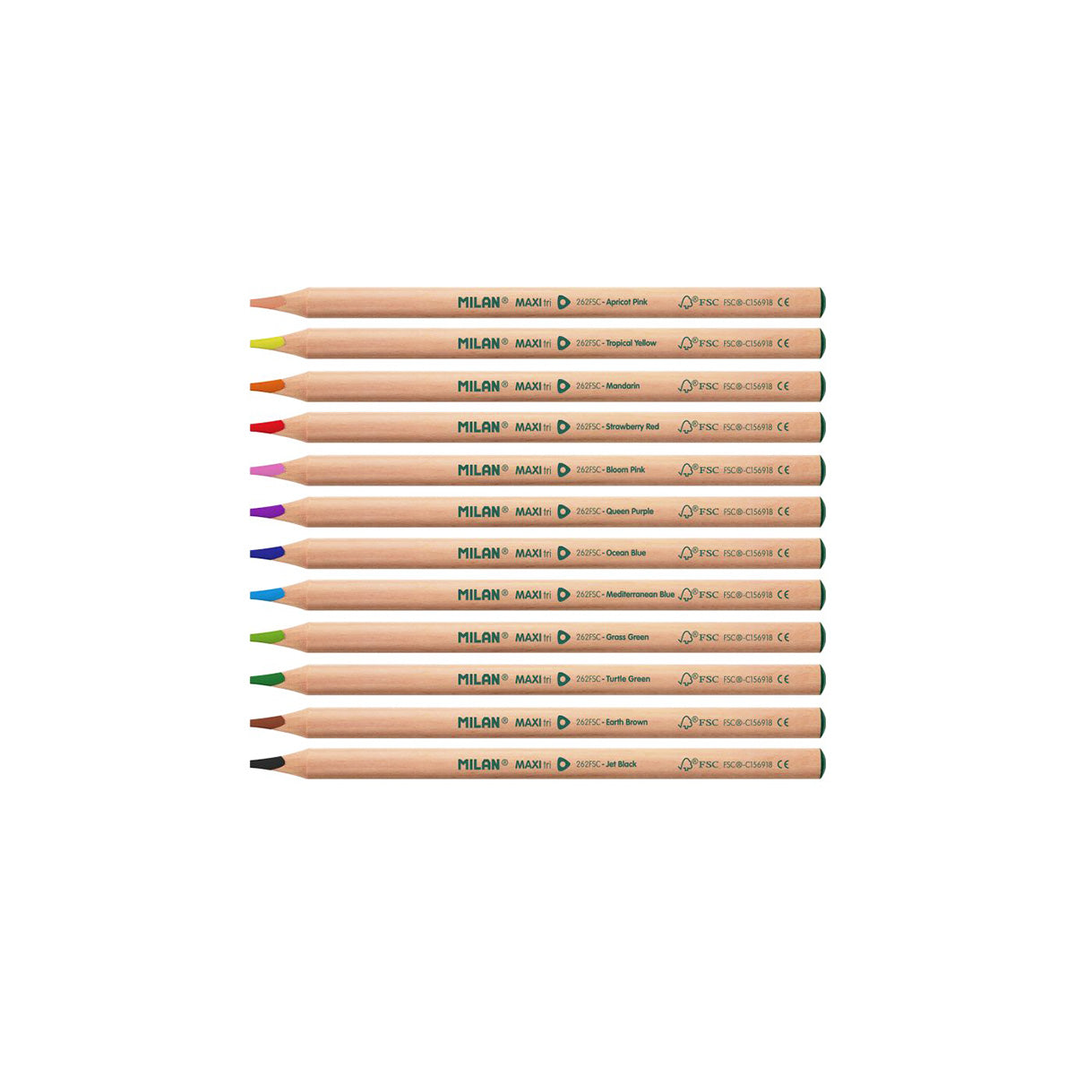 MAXI COLOURED PENCILS W. SHARPENER // SET OF 12