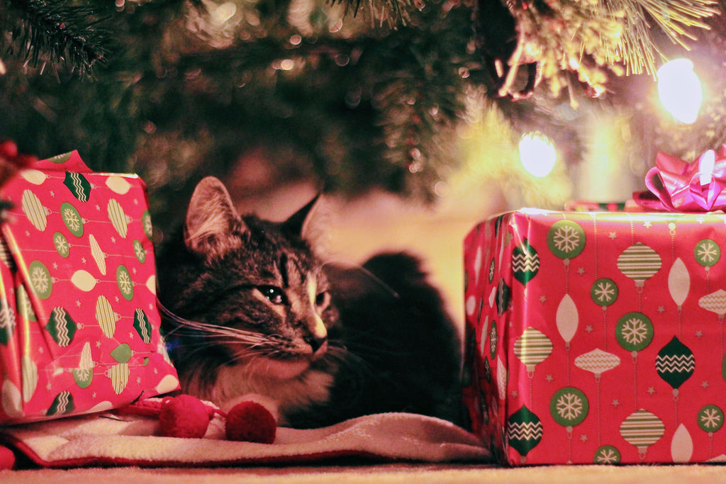 christmas gifts for pet owners