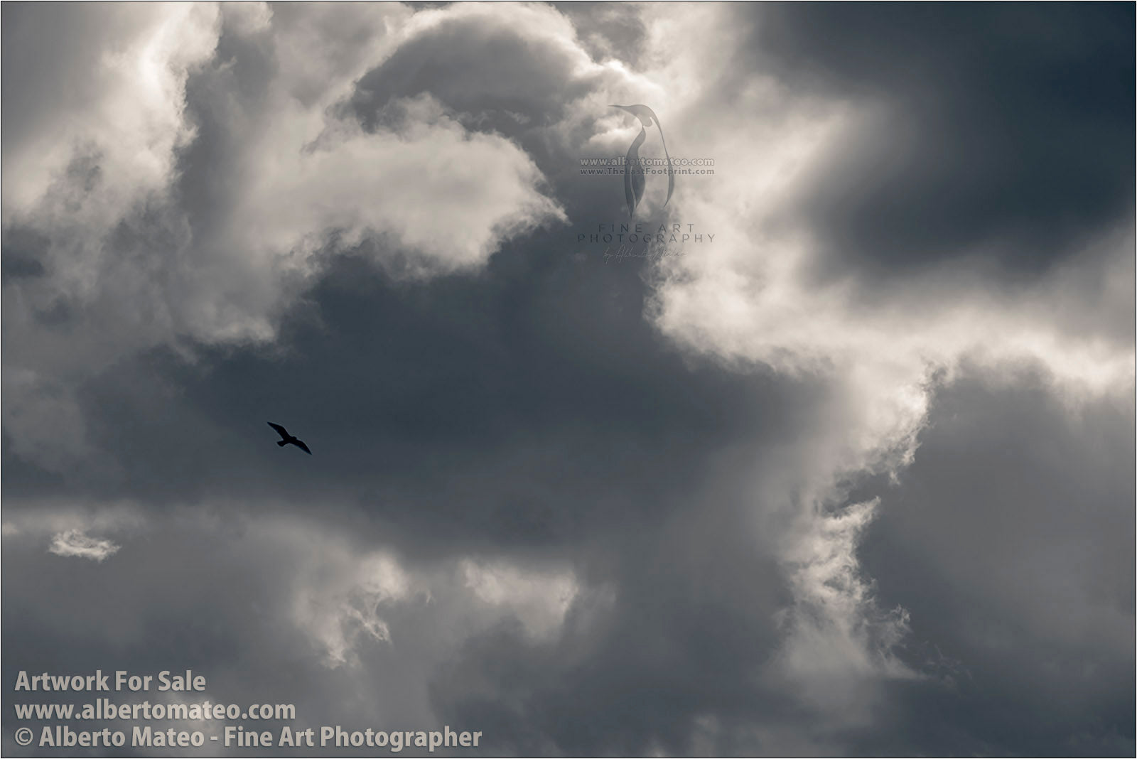 Segull and Clouds, by Alberto Mateo. Fine Art Photography.