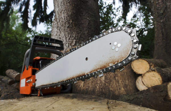 chainsaw repair in minnesota