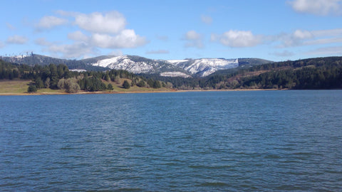 Hagg Lake Spring Hikes Near Hillsboro Oregon