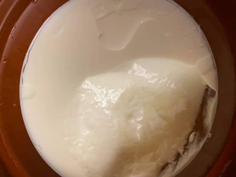 Fresh-Made Creamy Greek Yogurt with Honey in VitaClay made into in Mango Lassi 