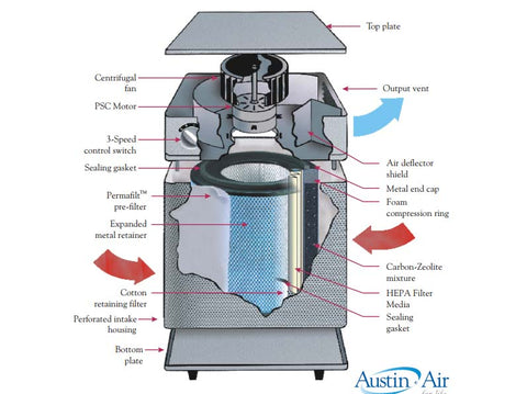 Austin Air Cleaner Infographic Diagram
