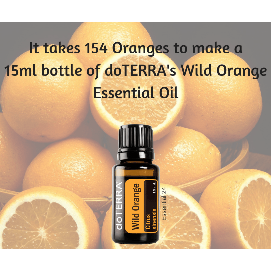 doTERRA Wild Orange Essential Oil 15ml – Essential 24