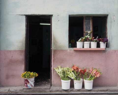 Photography Art Print, Flower Shop, Cuba. By Justine Wyness