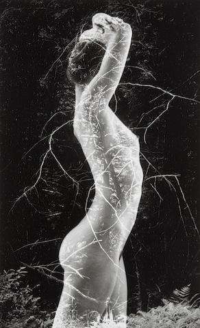 Symbiosis by Ruth Bernhard