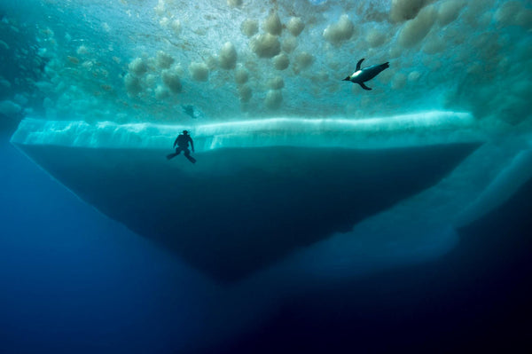 Under Antartica: Behind the Scenes photo by Laurent Ballesta