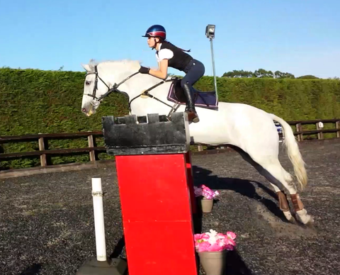 Evie Toombes para showjumper