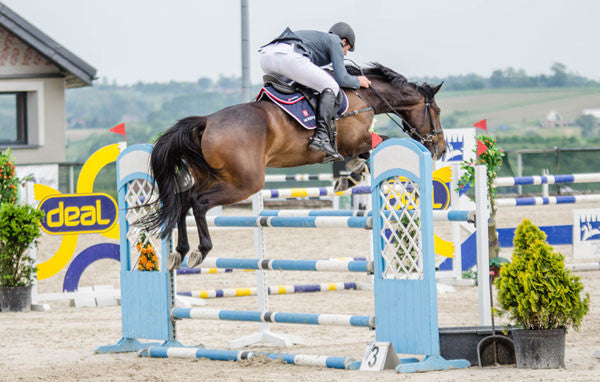 Just Riding Ohio Show Jumper 2