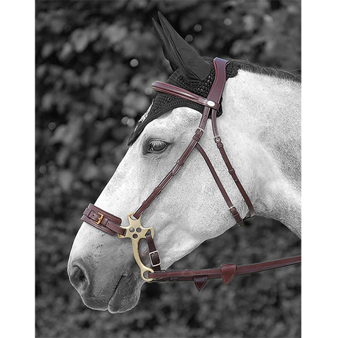 Hackamore bridle by Dy'on