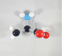 Aspartic Acid Molecule